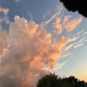 Meet your Posher, Sabrina